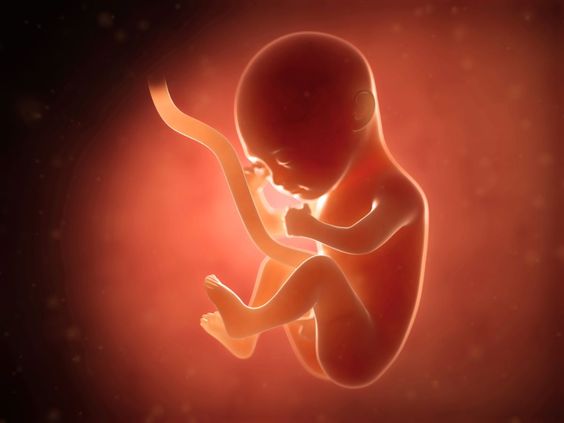 Cries of the Unborn Child